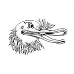 Angry Kiwi Bird Head Cartoon Black And White Stock Photo