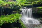 Landscape Of Waterfall In Deep Rain Forest Of Bolaven Plateau, C Stock Photo