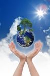 Eco Concept - Earth In Hands  Stock Photo