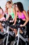 People Spinning On Bicycles In A Gym Stock Photo