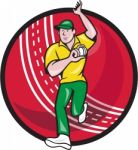 Cricket Fast Bowler Bowling Ball Front Cartoon Stock Photo