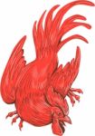 Chicken Rooster Crouching Drawing Stock Photo