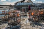Fisherman Repairing His Lobster Pots On The Harbour Wall At Lyme Stock Photo