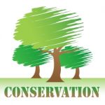 Conservation Trees Indicates Go Green And Eco Stock Photo