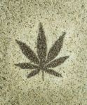 Hemp Seeds Marijuana Leaf Shape Background Stock Photo