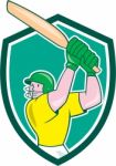 Cricket Player Batsman Batting Shield Cartoon Stock Photo