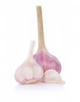 Garlic Isolated On White Background Stock Photo
