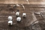 Gambling Dice On Wooden Background Stock Photo