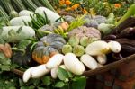 Group Of Tropical Vegetables Stock Photo