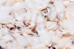 Fresh Squid Heap Close Up At The Seafood Market Stock Photo