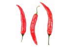 Red Hot Chili Peppers With Water Drops Isolated On White Stock Photo