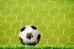 Goal. A Soccer Ball In A Net Stock Photo