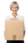 Woman Holding Cardboard Box Stock Photo