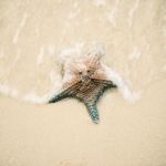 Starfish On The Beach Sand. Close Up Stock Photo