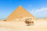Pyramids Of Giza, Cairo, Egypt Stock Photo