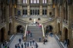 People Exploring  The National History Museum In London Stock Photo