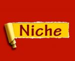 Niche Word Shows Web Opening Or Specialty Stock Photo