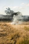 Bush Fire In A Country Town Stock Photo