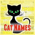 Cat Names Represents Pedigree Pets And Felines Stock Photo