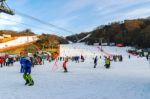 Vivaldi Park Ski Resort  In Korea Stock Photo