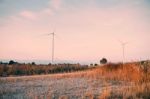 Meadow With Wind Turbines Stock Photo