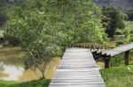 Wooden Walkway To Tropical Garden Stock Photo