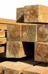Pine Wood Logs Stock Photo