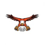 Bald Eagle Swooping Front Mascot Stock Photo