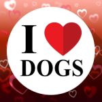 Love Dogs Indicates Fabulous Delightful Superb Pets Stock Photo