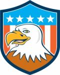 American Bald Eagle Head Smiling Flag Cartoon Stock Photo