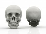 3d Image Of Human Skull In Full Face And Profile Stock Photo