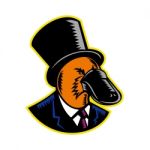 Duck-billed Platypus Tophat Woodcut Color Stock Photo