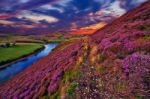 Beautiful Landscape Of Scottish Nature Stock Photo