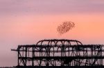 Brighton, East Sussex/uk - January 26 : Starlings Over The Derel Stock Photo