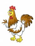 Cartoon Rooster  Stock Photo