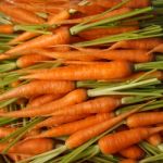 Fresh And Colorful Carrots Stock Photo