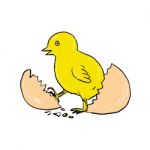 Chick Hatching Inside Egg Drawing Stock Photo