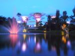 Marina Bay ,singapore, May 30, 2015: Big Tree Light Show Stock Photo
