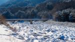 Seoraksan National Park In Winter, South Korea Stock Photo