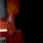 The Violin On Black Background For Isolated Stock Photo