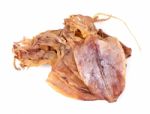 Dried Squid Isolated On The White Background Stock Photo