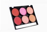 Makeup Blush Palette Circle Shades Colorful Stock Photo