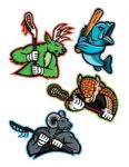 Lacrosse And Baseball Sports Mascot Collection Stock Photo