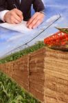 Signing A Contract Agricultural Stock Photo