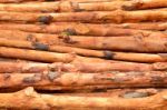 Pile Of Wood Logs Stock Photo