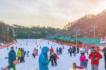 Vivaldi Park Ski Resort Stock Photo