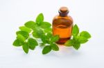 Natural Mint Essential Oil In A Glass Bottle With Fresh Mint Lea Stock Photo