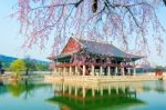 Gyeongbokgung Palace With Cherry Blossom In Spring,korea Stock Photo