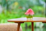 Pink Flowers In Vase On Table In The Garden Stock Photo