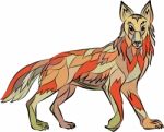 Coyote Side Isolated Drawing Stock Photo